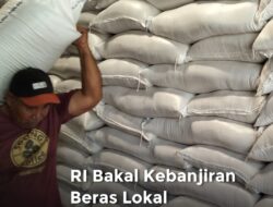Stok Cadangan Beras Pemerintah Tembus 3,7 Juta Ton, Rekor Tertinggi dalam Sejarah Indonesia