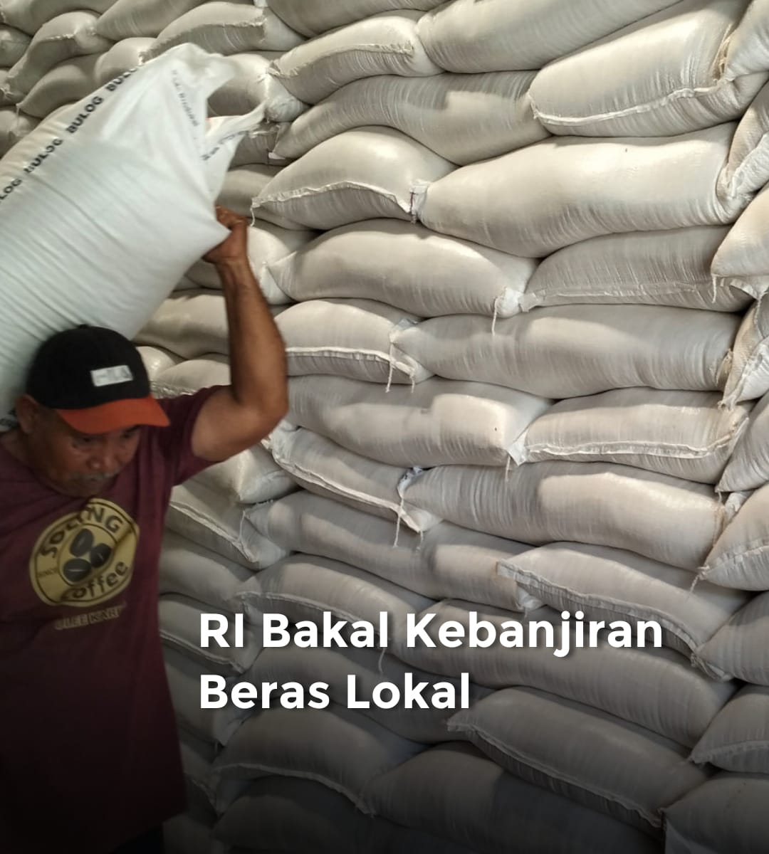 Stok Cadangan Beras Pemerintah Tembus 3,7 Juta Ton, Rekor Tertinggi dalam Sejarah Indonesia