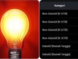 Tarif Listrik di Batam Mulai 1 Juli 2025