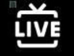 Kementerian Komdigi Bekukan TDPSE TikTok