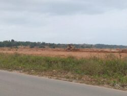 Aktivitas Alat Berat Ubah Lahan Basah Jadi Daratan di Tengah Keterbatasan Lahan Batam
