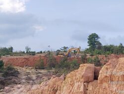 Pengawasan Lahan di Nongsa Hilang?