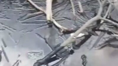 Limbah Hitam Cemari Perairan Pulau Labu Batam