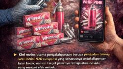 Whip Pink: Gas Tertawa yang Mematikan