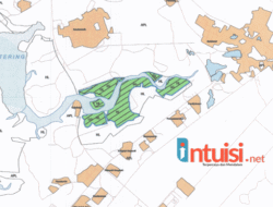 DPP Golkar Dorong Usut Tuntas Penimbunan Mangrove Batubesar