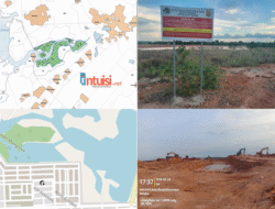 Investigasi Seri Penimbunan Bakau Nongsa, Batam