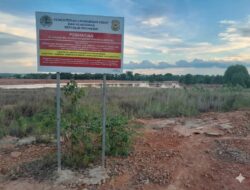 Investigasi Seri Penimbunan Bakau di Nongsa