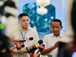 Pemerintah Pastikan Harga LPG 3 Kg Stabil