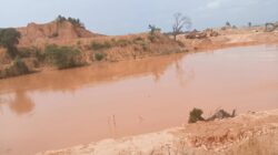 BP Batam Harus Tindak Menyeluruh