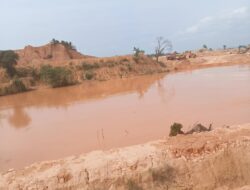 BP Batam Harus Tindak Menyeluruh