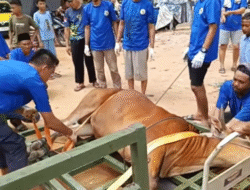 Idul Adha 1447 H di Masjid Baitussalam Arira