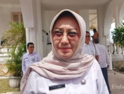 Ketersediaan Sapi Kurban di Kepri Melimpah