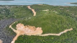 Rusak Hutan Piayu Batam, PT GTP jadi Tersangka