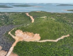 Rusak Hutan Piayu Batam, PT GTP jadi Tersangka