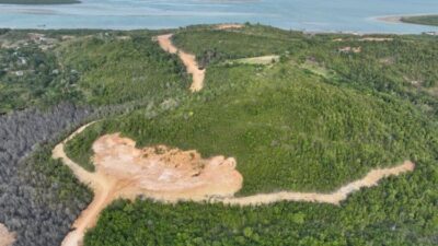 Rusak Hutan Piayu Batam, PT GTP jadi Tersangka