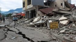 Penanganan Darurat Gempa 7,7 Flores