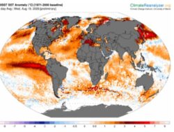 El Niño 2026 Sudah di Luar Kendali