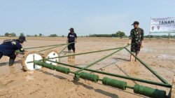 Stok Beras RI Tembus 5,1 Juta Ton