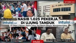 Apa yang Terjadi di Balik Pintu Ghim LI?